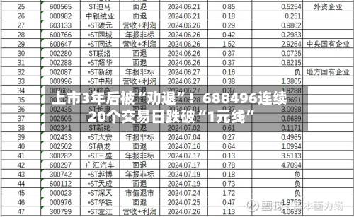 上市3年后被“劝退”！688496连续20个交易日跌破“1元线	”-第2张图片