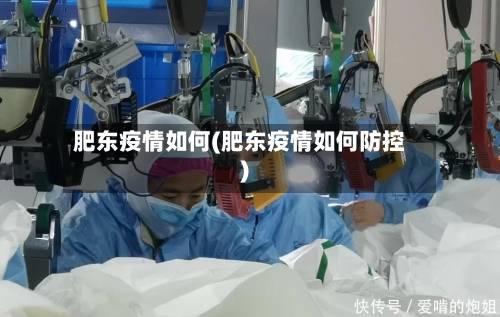 肥东疫情如何(肥东疫情如何防控)-第2张图片