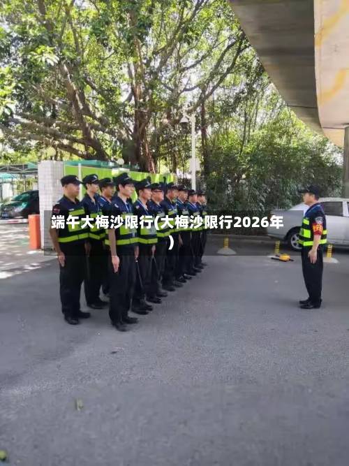 端午大梅沙限行(大梅沙限行2026年)-第1张图片