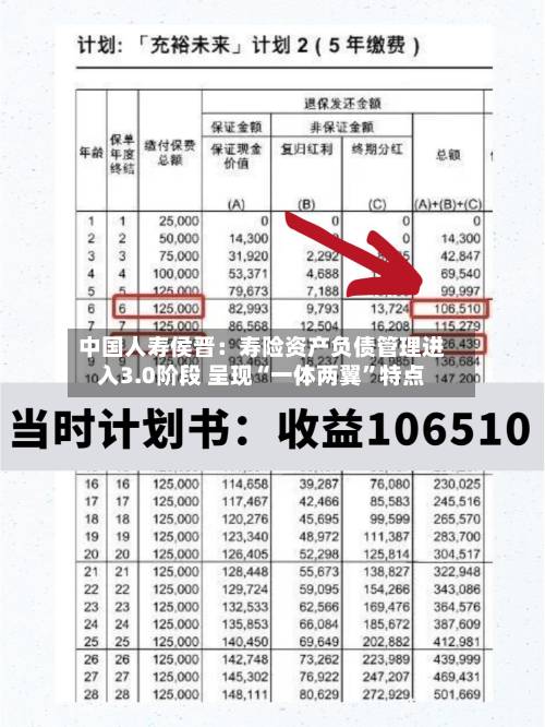 中国人寿侯晋：寿险资产负债管理进入3.0阶段 呈现“一体两翼”特点-第2张图片