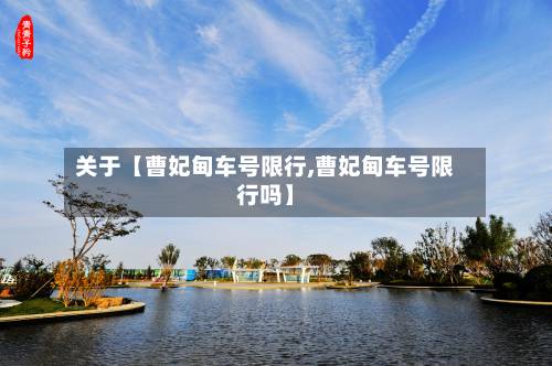 关于【曹妃甸车号限行,曹妃甸车号限行吗】