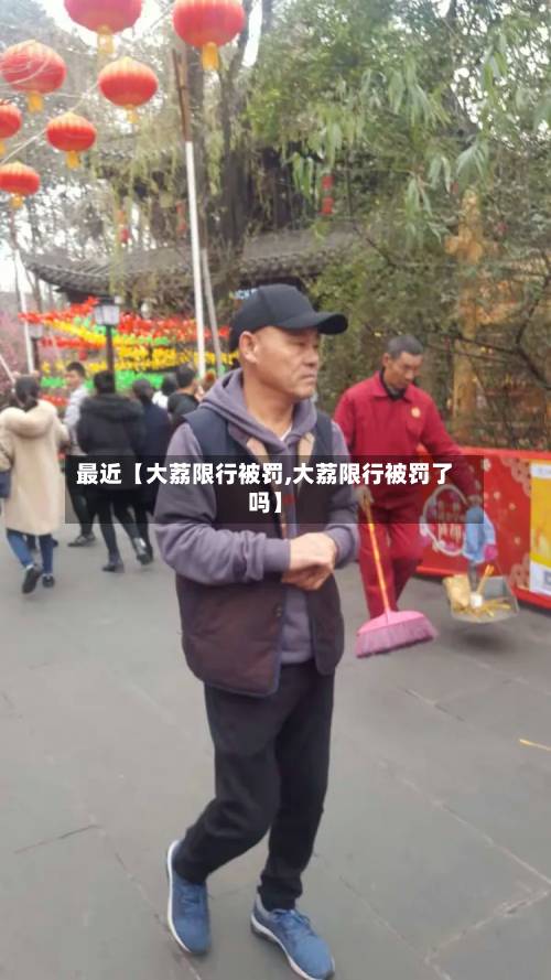 最近【大荔限行被罚,大荔限行被罚了吗】-第2张图片