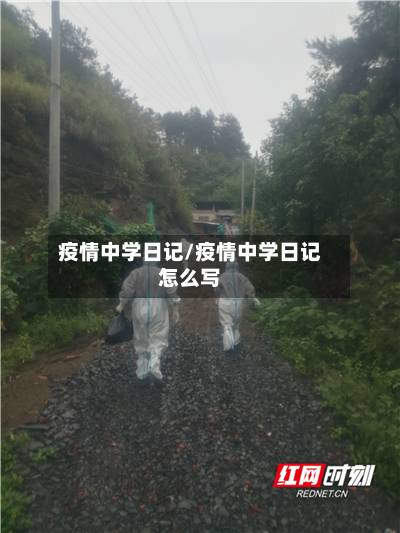 疫情中学日记/疫情中学日记怎么写