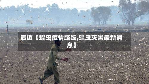最近【蝗虫疫情路线,蝗虫灾害最新消息】-第2张图片