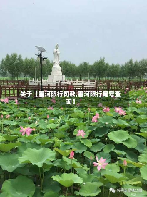 关于【香河限行罚款,香河限行尾号查询】