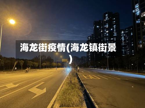 海龙街疫情(海龙镇街景)-第2张图片