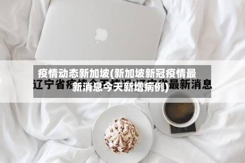 疫情动态新加坡(新加坡新冠疫情最新消息今天新增病例)-第2张图片