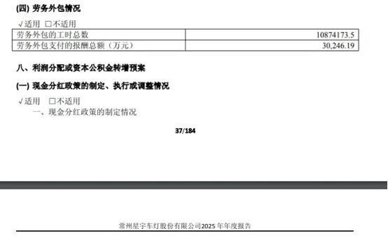 星宇股份再现重大财报差错	，2.44万亿外包费用？